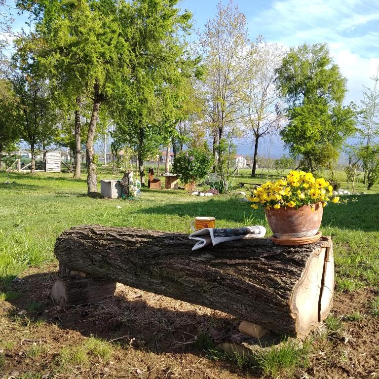 Zahrada ubytování B&B Belelì Daramba