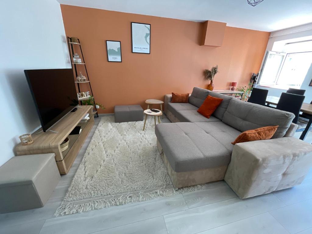 ein Wohnzimmer mit einem Sofa und einem Flachbild-TV in der Unterkunft Appartement Centrale Confort in Montalieu-Vercieu