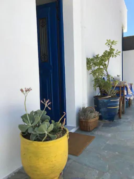 a yellow pot sitting in front of a door with potted plants at Marditsa's House by the sea in Serifos Chora