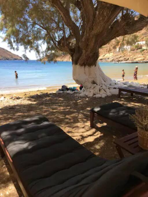 a bed under a tree on a beach at Marditsa's House by the sea in Serifos Chora