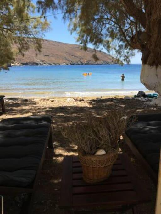 a potted plant sitting on a bench on a beach at Marditsa's House by the sea in Serifos Chora