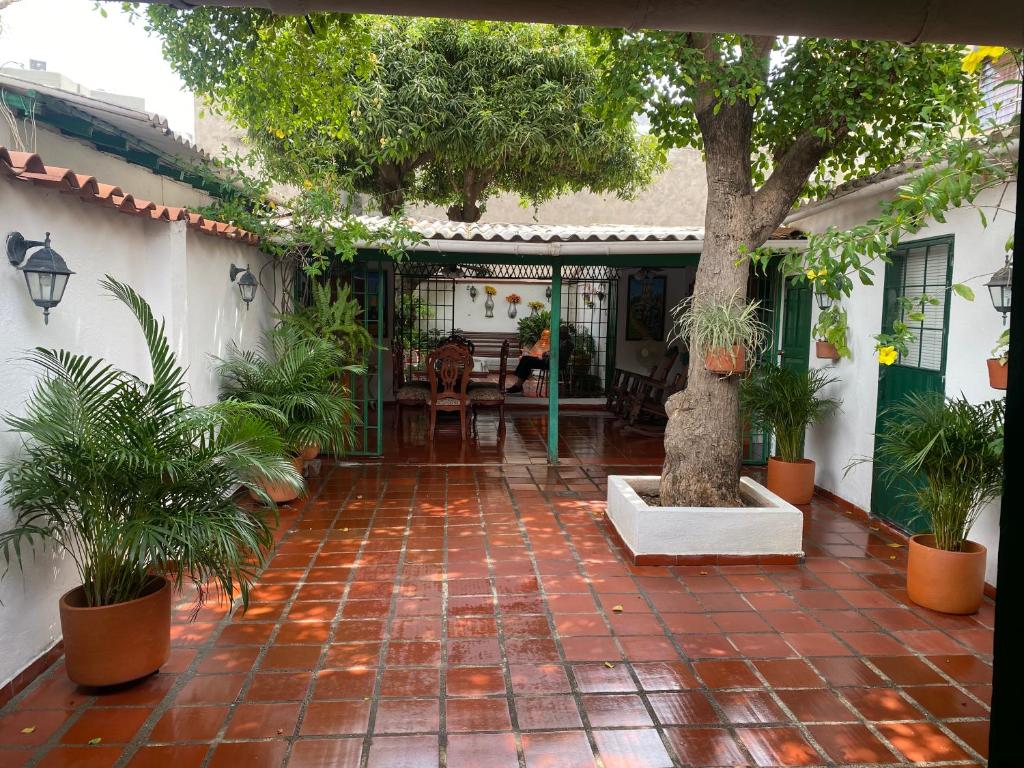 a patio with a tree and plants on it at La Casa de Taty in Valledupar