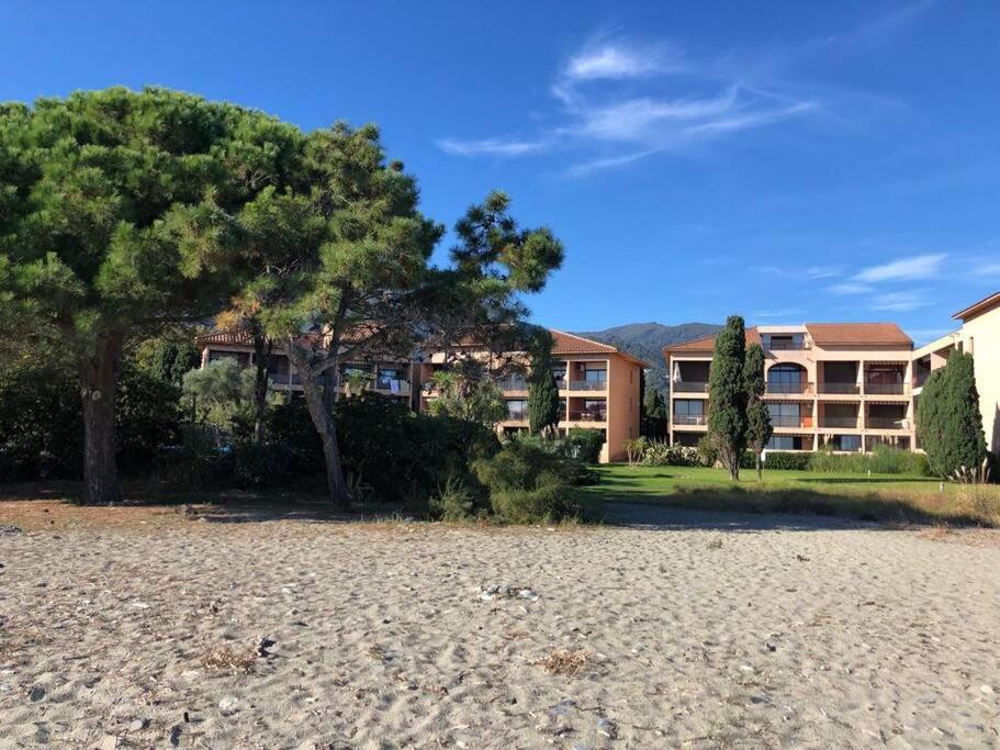 a large apartment building with a tree and a beach at 2024 - grand studio avec piscine et plage à 50 m in San-Nicolao