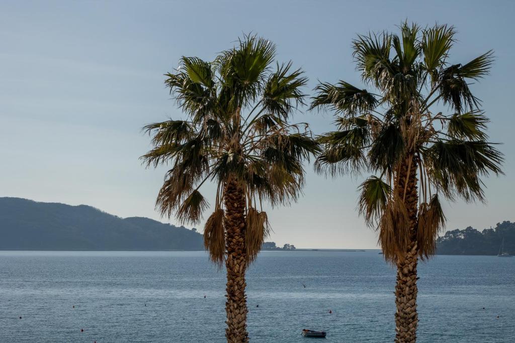 two palm trees on the beach near the water at Mali Hotel Porat in Budva