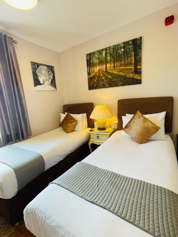 Fairlight Guesthouse - Tweelingzaal Met Douche