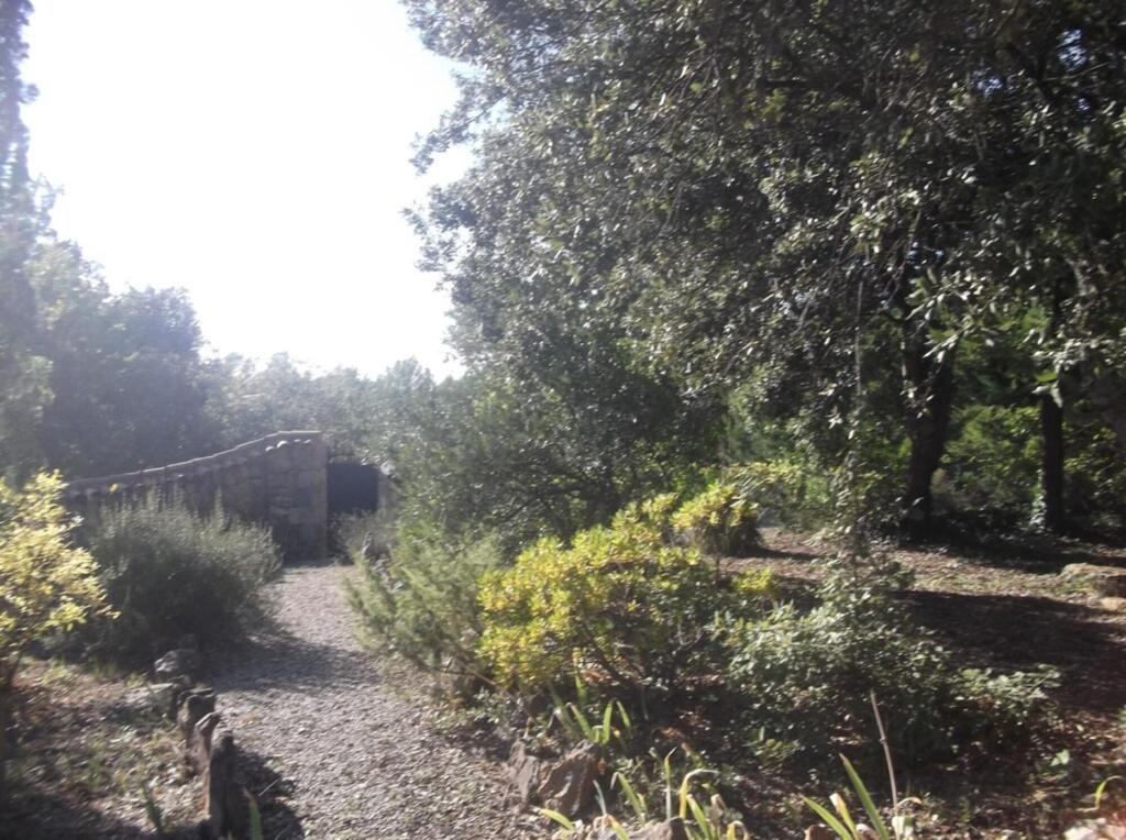 Ogród w obiekcie La Lezardière Gorges du Verdon