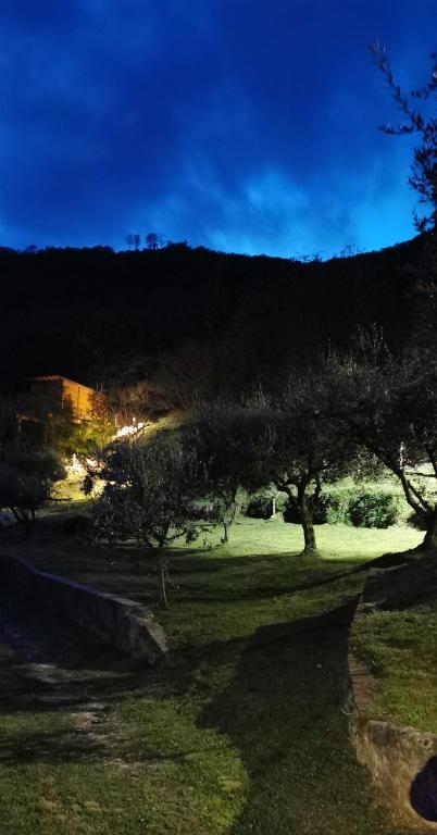 Tree House San Giorgio - Tweepersoonskamer Met Terras