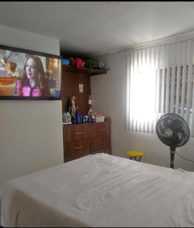 1 dormitorio con 1 cama y TV en la pared en Bright Duplex 2 bedroom Apartment, kitchen, bathroom & living room en Cartagena de Indias
