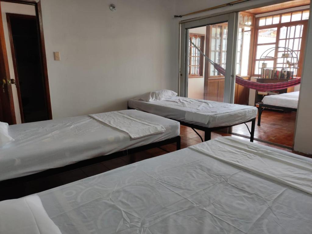 LETICIAS GUEST HOUSE - 私人浴室的家庭房