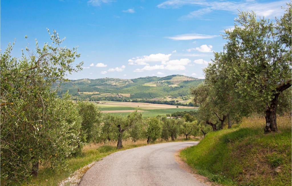 Príroda v okolí dovolenkového domu