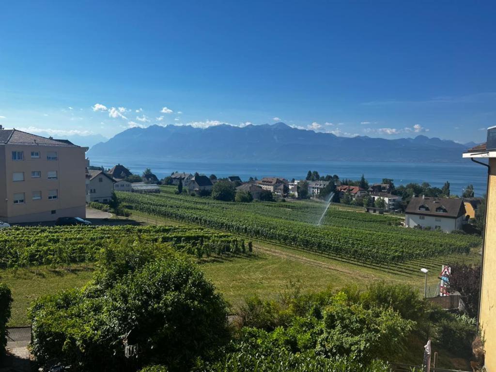 Appartement cosy à Pully avec vue époustouflante, Pully (aktualisierte