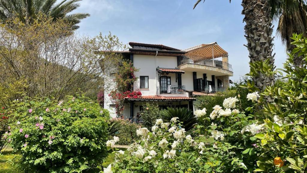 Hemerans Anatolia - 13