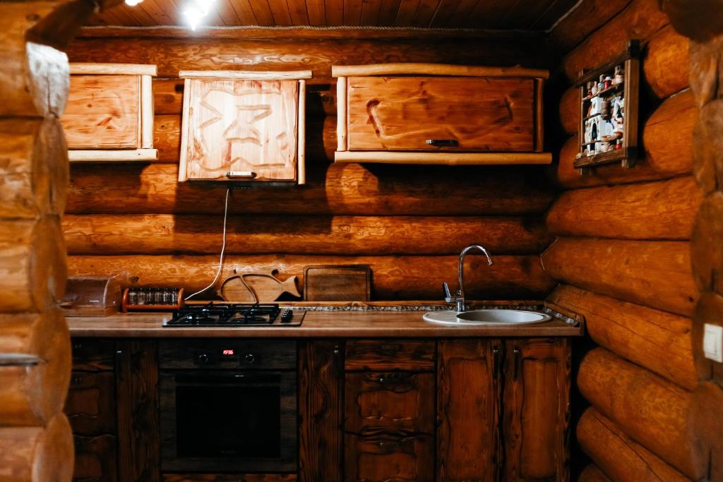 uma cozinha num chalé de madeira com um lavatório em Ray Eco Resort em Mukacheve