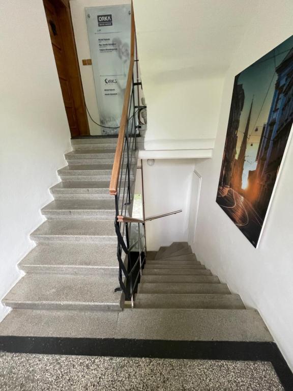 Apartmány Polská 12 - 11