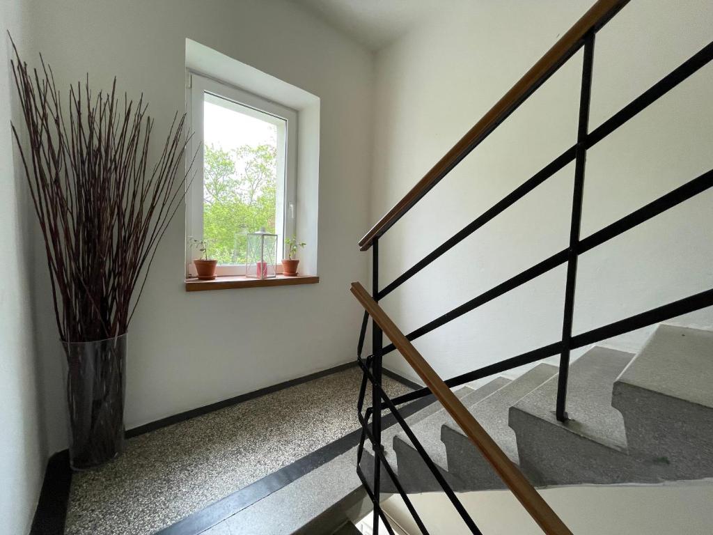 Apartmány Polská 12 - 10