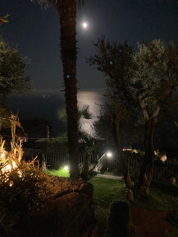 A garden outside Suite I Limoni