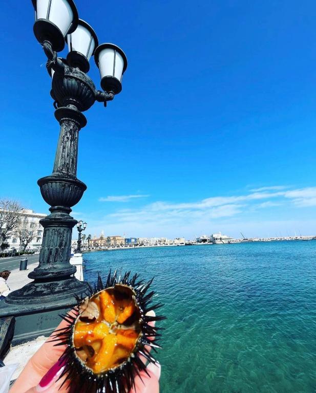 ARCO MERAVIGLIA HOUSE - 8