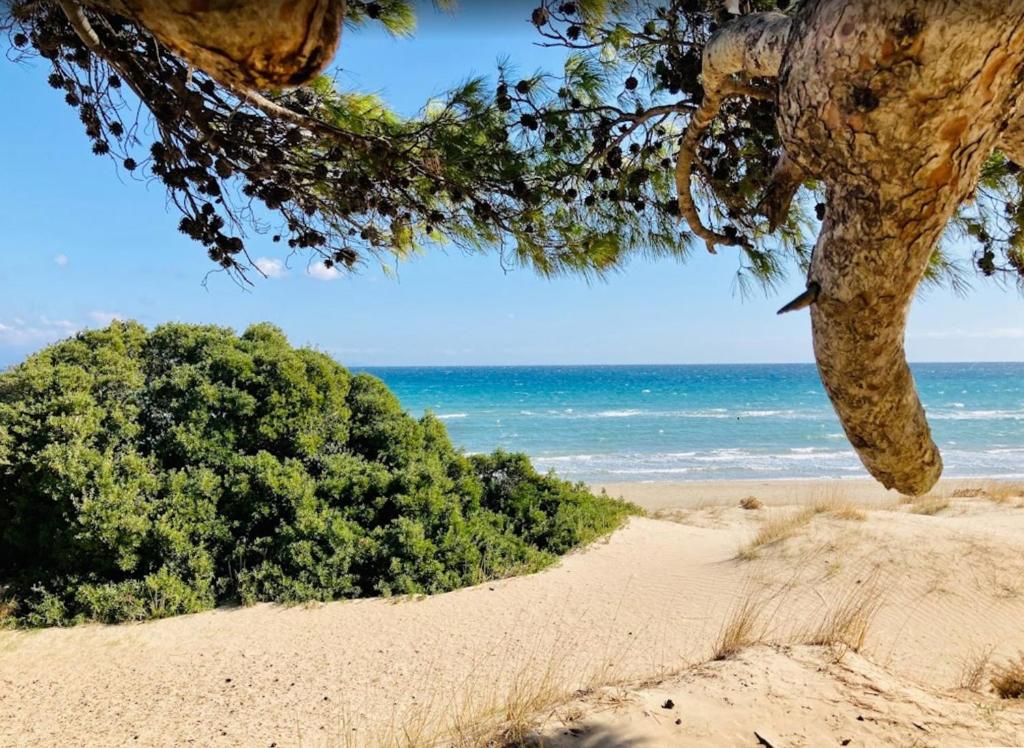 une plage avec des arbres et l'océan en arrière-plan dans l'établissement Kyma Holiday Loft, à Artemi