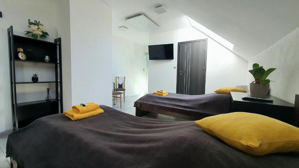 Apartamenty Akacjowa Villa106 - 