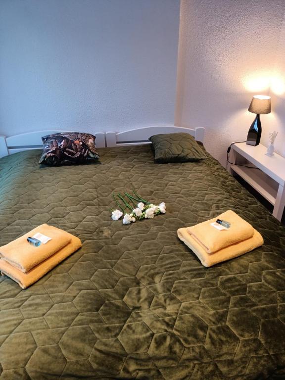 Apartamenty Akacjowa Villa106 - 