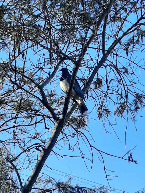 Brighton Beach - Resim 17