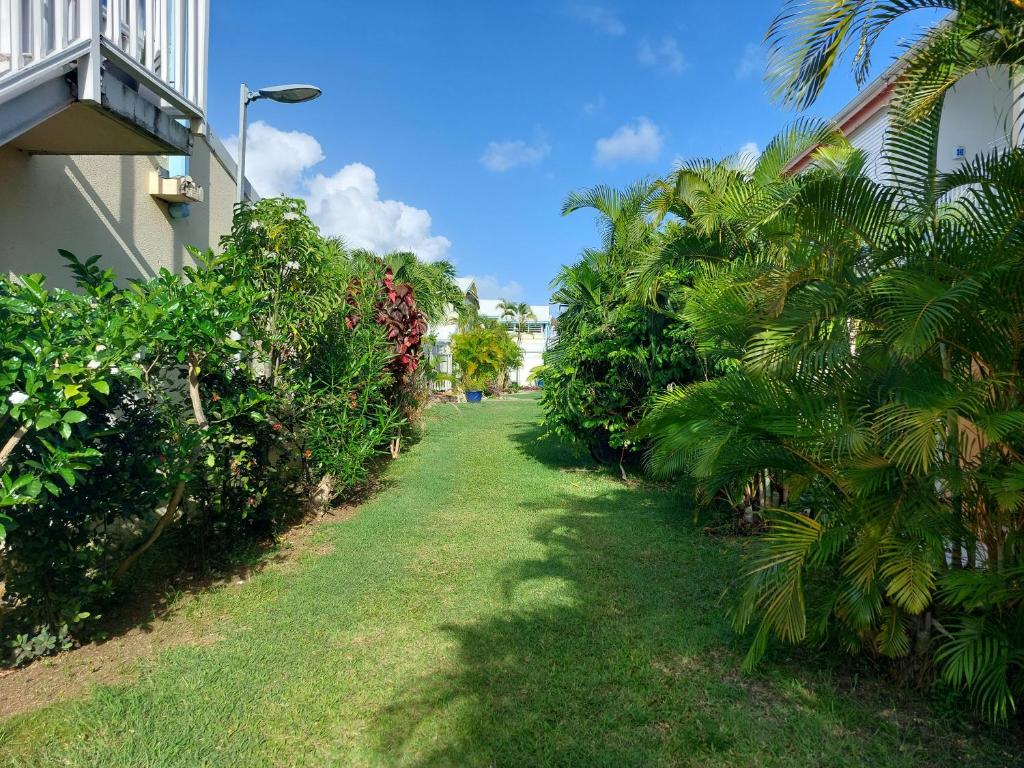 a garden with palm trees and a building at Bluehibiscus in Saint-François