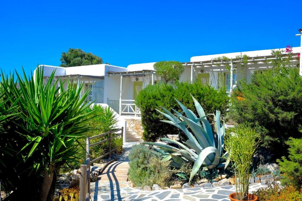 a garden with plants in front of a building at Villa Zografos in Irakleia