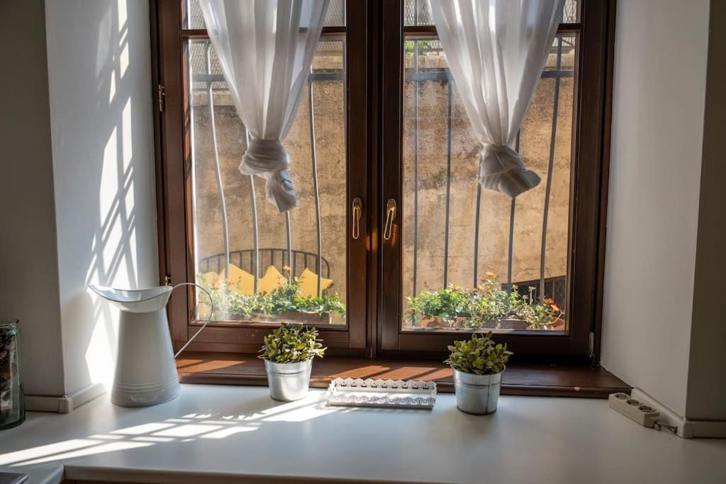 a window with two potted plants in front of it at Spacious apartment in strategic location - Green in Trento