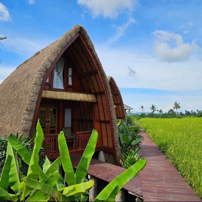 a house in the middle of a rice field at Cabé Bali in Jasri