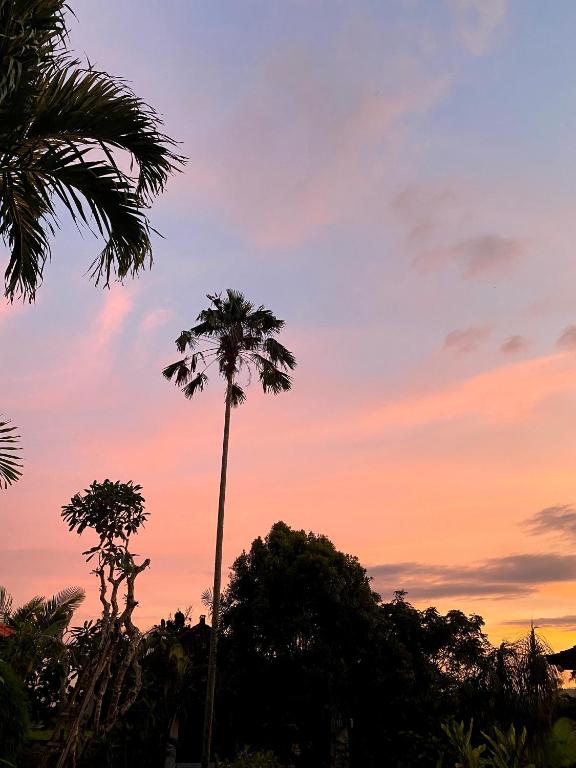 a palm tree with a sunset in the background at Cabé Bali in Jasri