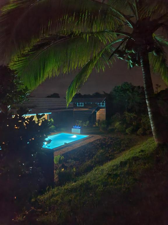 a swimming pool at night with a palm tree at Eden des laves in Sainte-Rose
