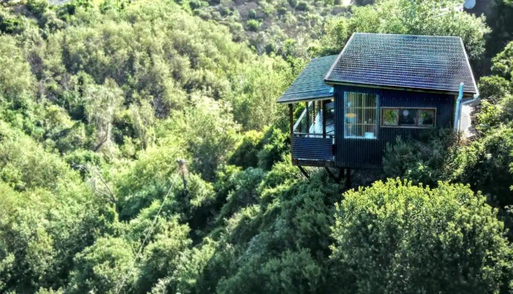 a tree house in the middle of a forest at Forest Studio in Knysna