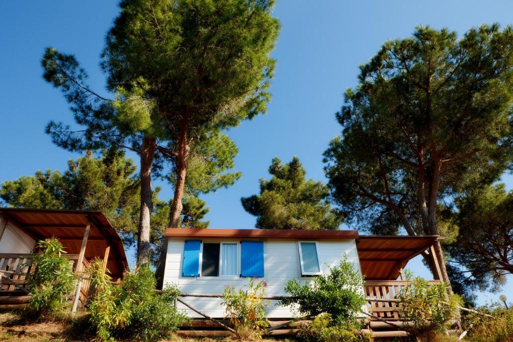 dom w lesie z drzewami w tle w obiekcie Camping Village Rosselba Le Palme w mieście Portoferraio
