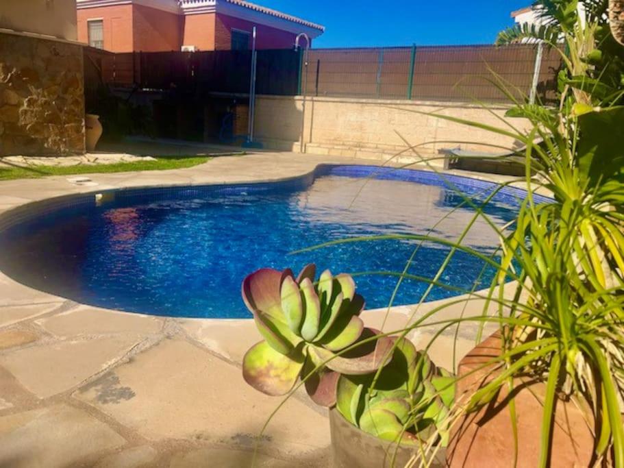 a small swimming pool with a plant next to it at Townhouse, private pool garden and sea views in Torremolinos