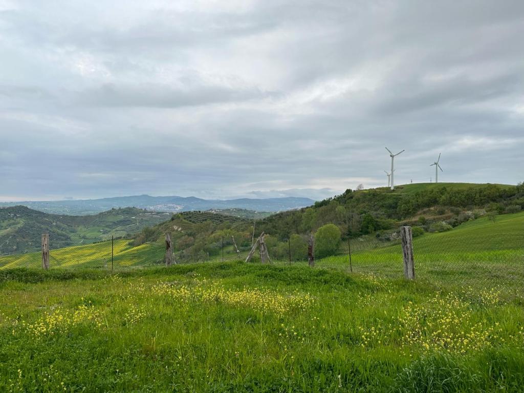 Naturlandskabet i nærheden af feriegården