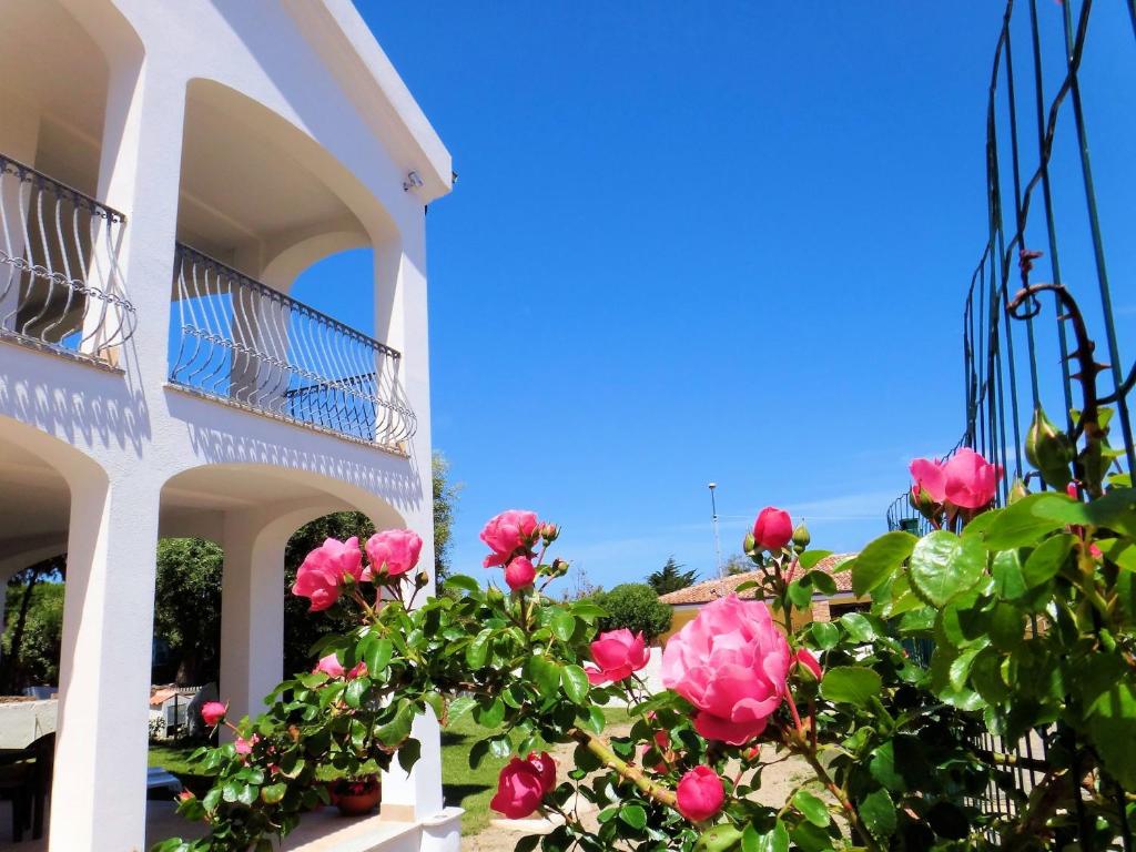 ein weißes Gebäude mit rosa Rosen davor in der Unterkunft Hotel La Tartaruga Bianca in Valledoria