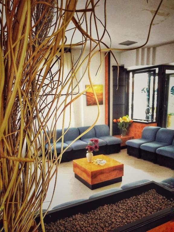 Posezení v ubytování Hotel Pineta