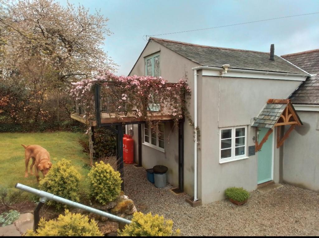 a house with a dog standing outside of it at The Dartmoor Linhay in Yelverton