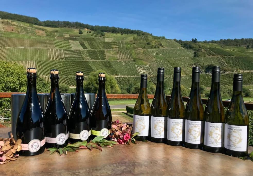 Nápoje v ubytování Weinlofts an der Mosel mit E10 Ladestation