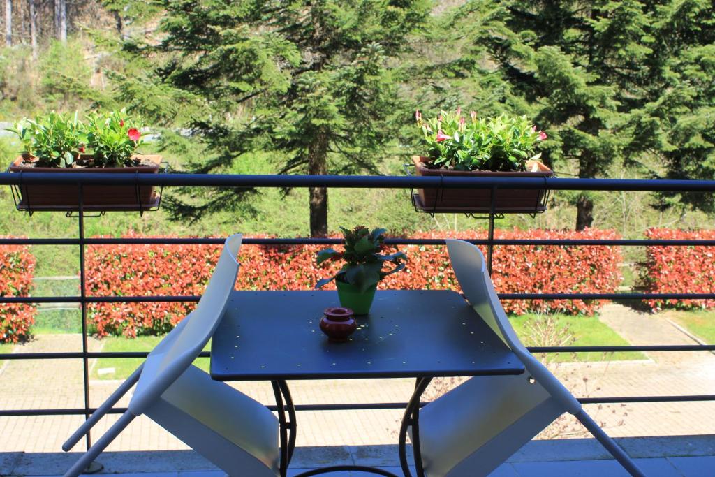 A balcony or terrace at Hotel Abetaia