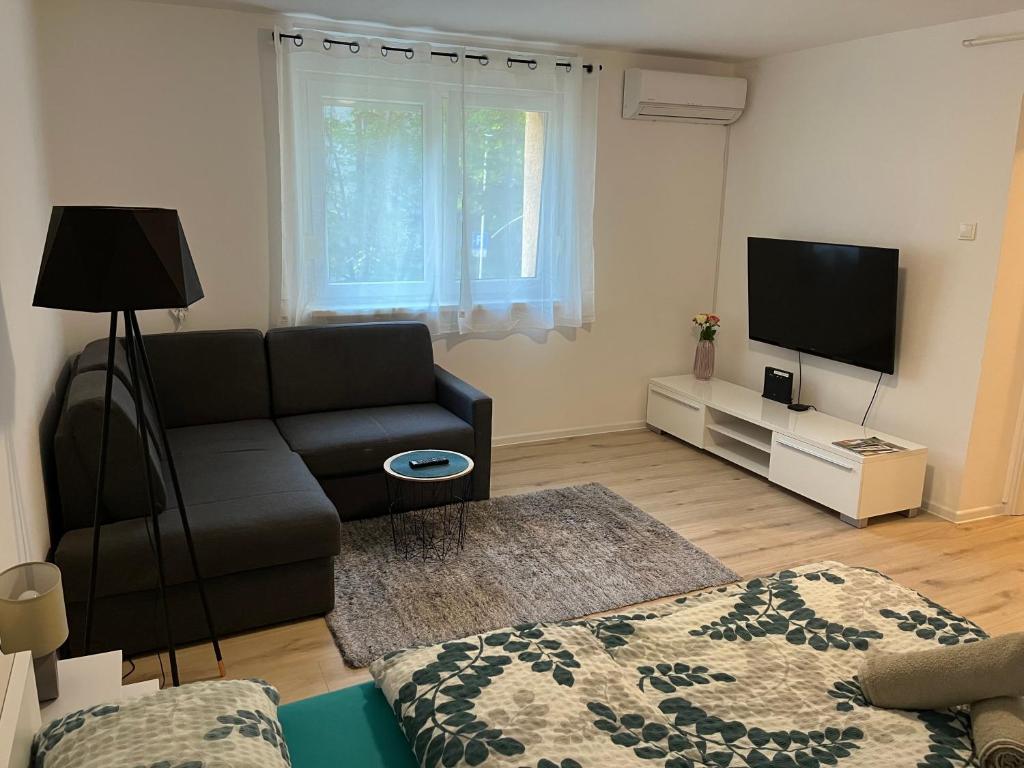 TV a/nebo společenská místnost v ubytování Apartment VBK Osijek