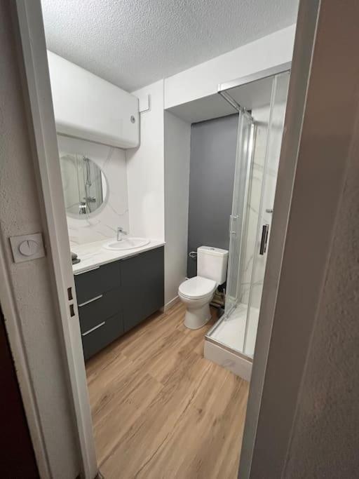 a bathroom with a toilet and a sink and a shower at Studio côté plage tout équipé vue sur le Canigou in Canet-en-Roussillon