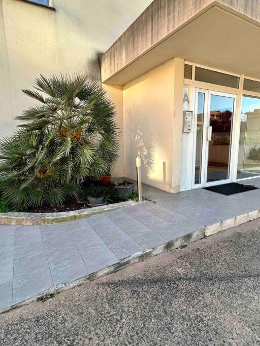Fotografia z galérie ubytovania Appartement Cosy v destinácii Ajaccio