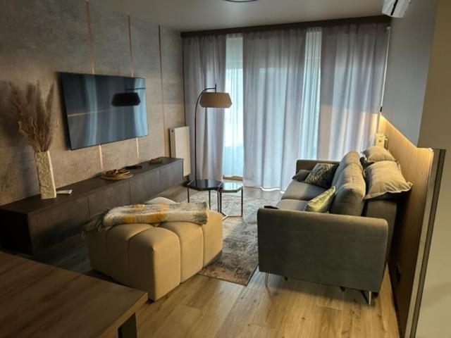 a living room with two couches and a television at GOLD Apartment Centrum garaż in Gliwice
