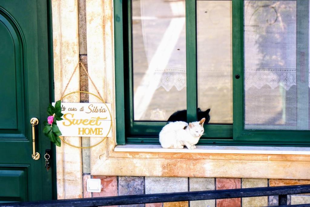 a black and white cat sitting in a window at La Casa Di Silvia in Apolakkiá