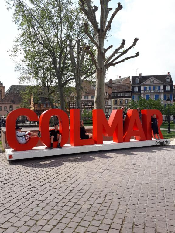 Commanderie Cottage Colmar – photo 28