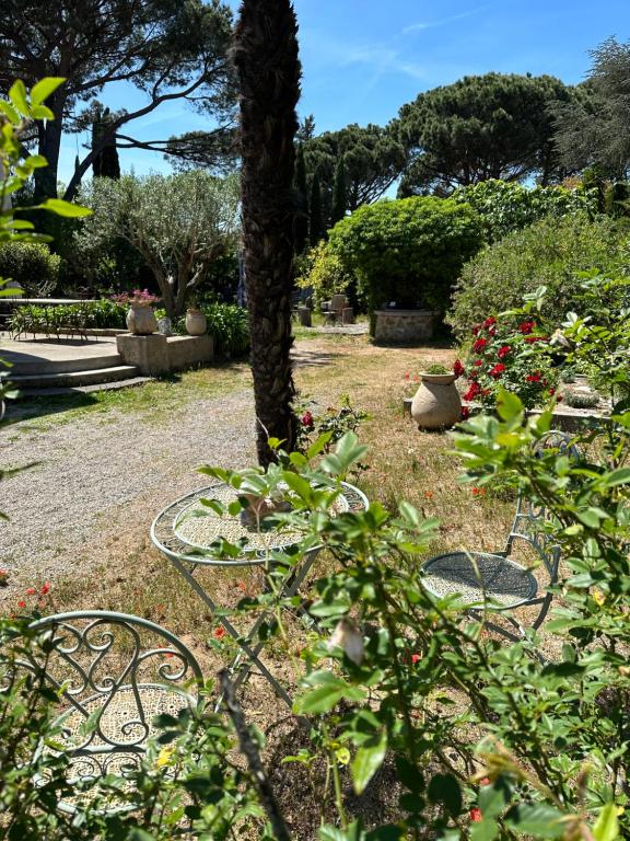 a park with a tree and some plants and flowers at Magnifique Studio Tropézien à 300 m de la plage (parking gratuit) in Saint-Tropez