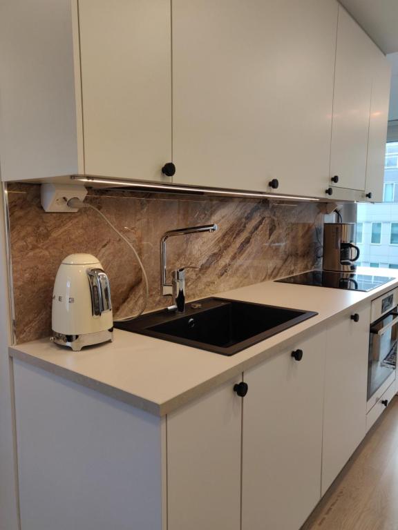 a kitchen with a sink and a toaster on a counter at Studio Lumilinna in Tampere