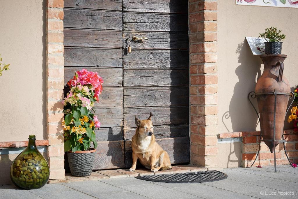 Hišni ljubljenčki, ki bivajo z gosti v nastanitvi Agriturismo Cascina Sciulun