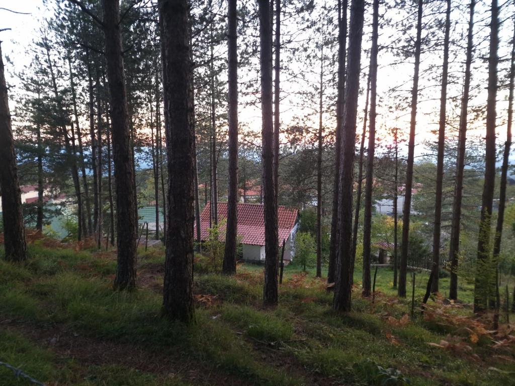 Příroda nedaleko hostelu
